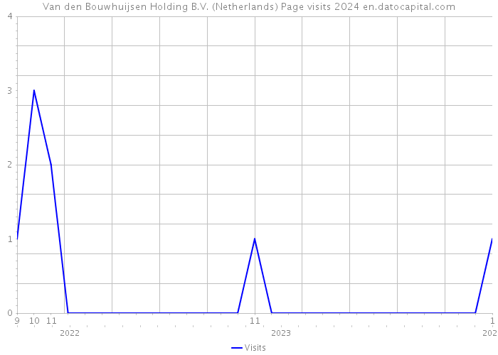 Van den Bouwhuijsen Holding B.V. (Netherlands) Page visits 2024 