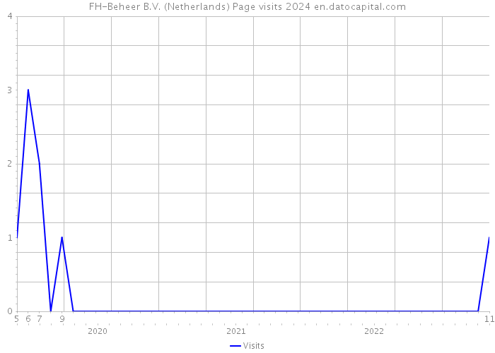 FH-Beheer B.V. (Netherlands) Page visits 2024 