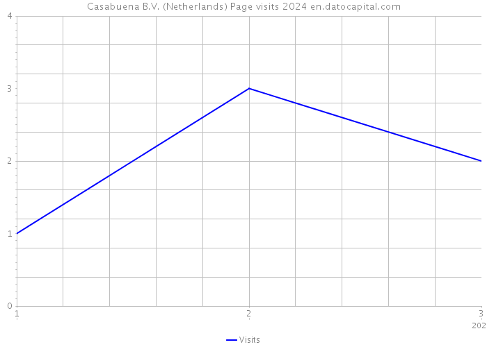 Casabuena B.V. (Netherlands) Page visits 2024 