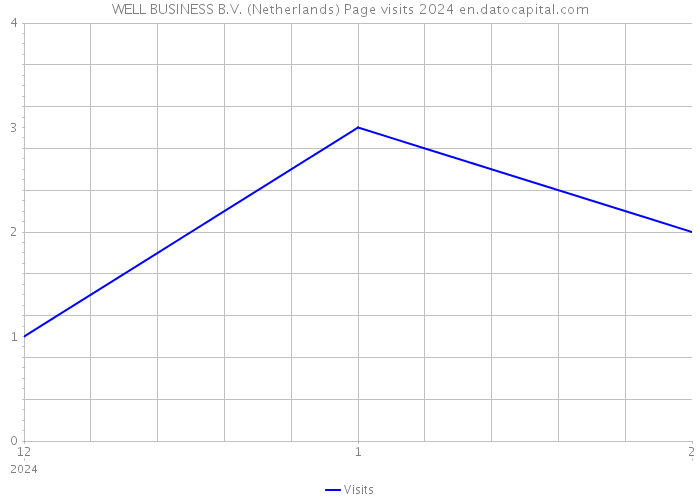 WELL BUSINESS B.V. (Netherlands) Page visits 2024 