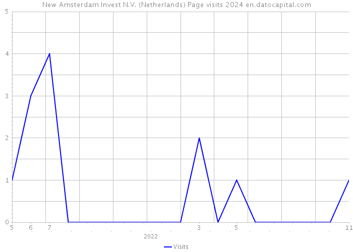 New Amsterdam Invest N.V. (Netherlands) Page visits 2024 