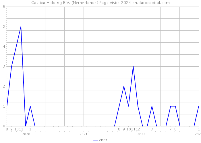 Castica Holding B.V. (Netherlands) Page visits 2024 
