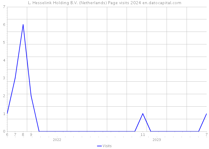 L. Hesselink Holding B.V. (Netherlands) Page visits 2024 