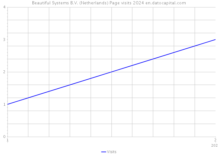 Beautiful Systems B.V. (Netherlands) Page visits 2024 