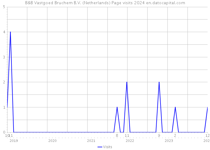 B&B Vastgoed Bruchem B.V. (Netherlands) Page visits 2024 