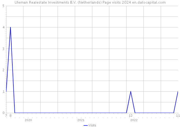 Uleman Realestate Investments B.V. (Netherlands) Page visits 2024 