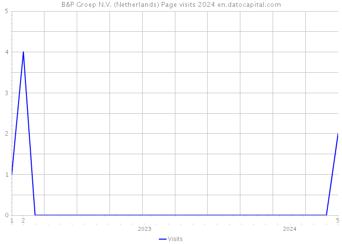 B&P Groep N.V. (Netherlands) Page visits 2024 