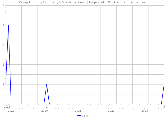 Wong Holding Company B.V. (Netherlands) Page visits 2024 