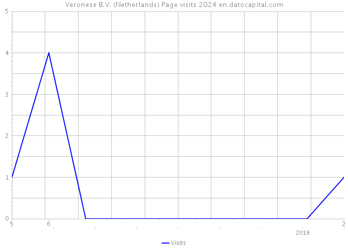 Veronese B.V. (Netherlands) Page visits 2024 