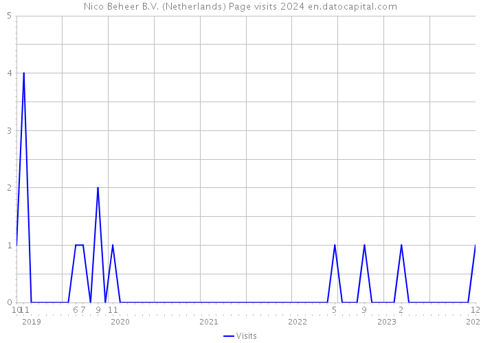 Nico Beheer B.V. (Netherlands) Page visits 2024 