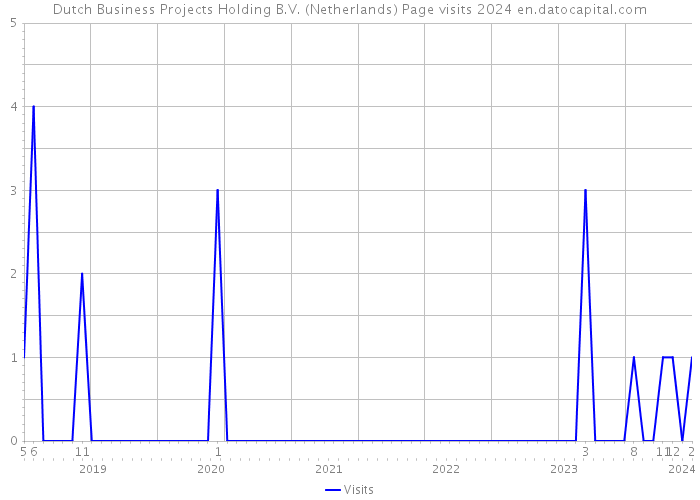 Dutch Business Projects Holding B.V. (Netherlands) Page visits 2024 