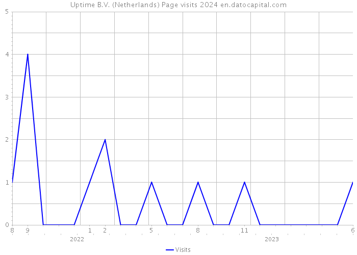 Uptime B.V. (Netherlands) Page visits 2024 