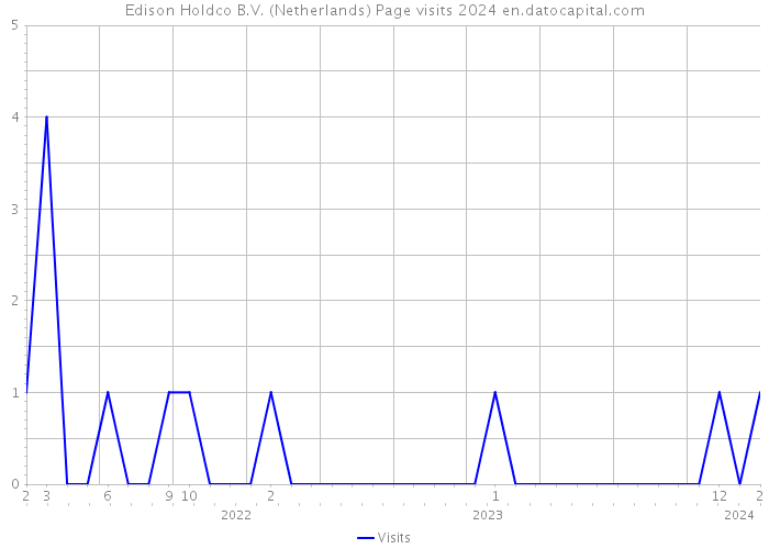 Edison Holdco B.V. (Netherlands) Page visits 2024 