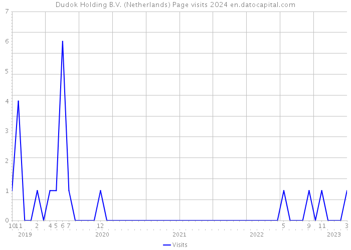 Dudok Holding B.V. (Netherlands) Page visits 2024 
