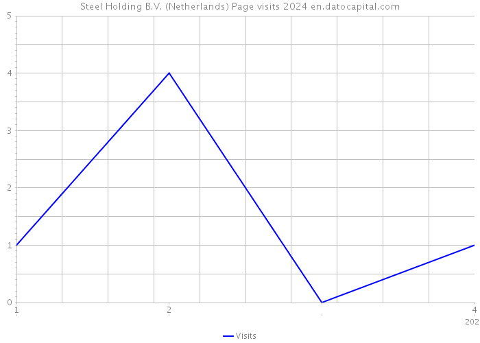 Steel Holding B.V. (Netherlands) Page visits 2024 
