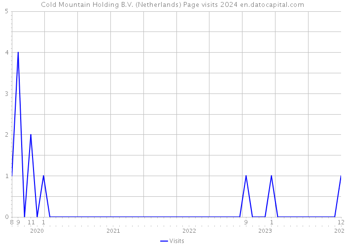 Cold Mountain Holding B.V. (Netherlands) Page visits 2024 