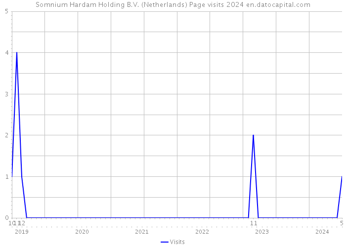 Somnium Hardam Holding B.V. (Netherlands) Page visits 2024 