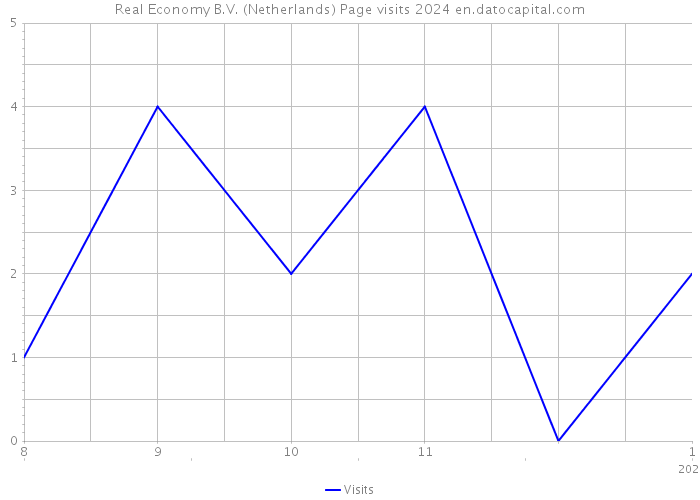 Real Economy B.V. (Netherlands) Page visits 2024 