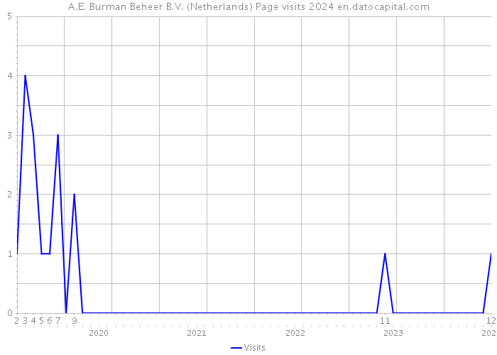A.E. Burman Beheer B.V. (Netherlands) Page visits 2024 