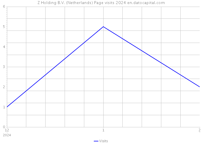 Z Holding B.V. (Netherlands) Page visits 2024 