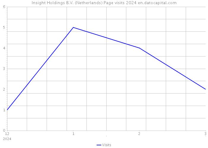 Insight Holdings B.V. (Netherlands) Page visits 2024 