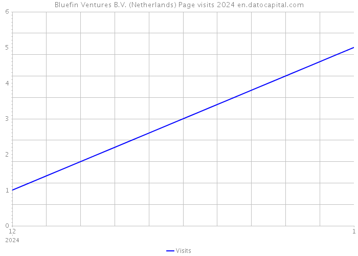 Bluefin Ventures B.V. (Netherlands) Page visits 2024 