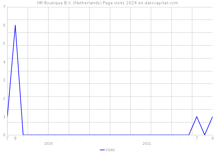 HR Boutique B.V. (Netherlands) Page visits 2024 