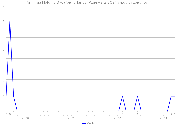 Anninga Holding B.V. (Netherlands) Page visits 2024 
