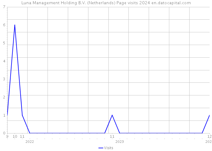 Luna Management Holding B.V. (Netherlands) Page visits 2024 