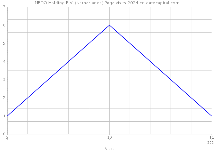 NEOO Holding B.V. (Netherlands) Page visits 2024 