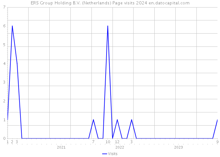 ERS Group Holding B.V. (Netherlands) Page visits 2024 