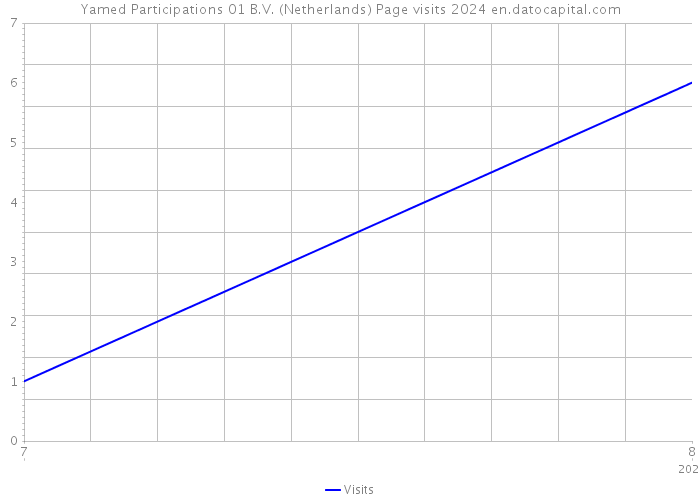 Yamed Participations 01 B.V. (Netherlands) Page visits 2024 