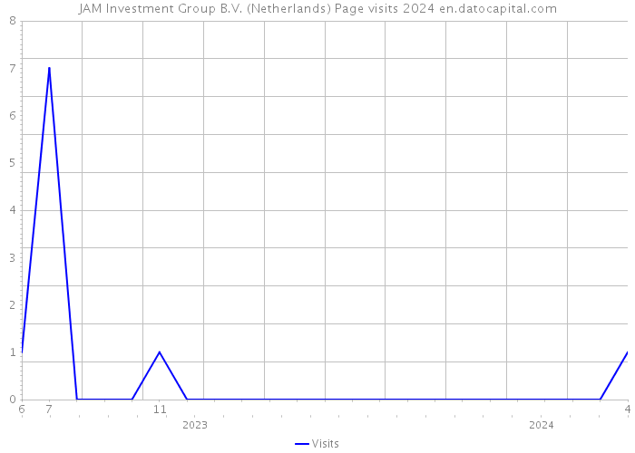 JAM Investment Group B.V. (Netherlands) Page visits 2024 