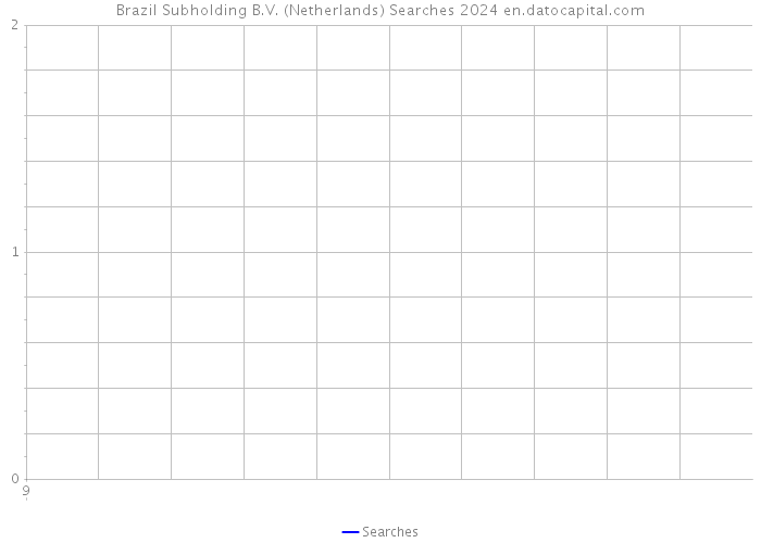 Brazil Subholding B.V. (Netherlands) Searches 2024 