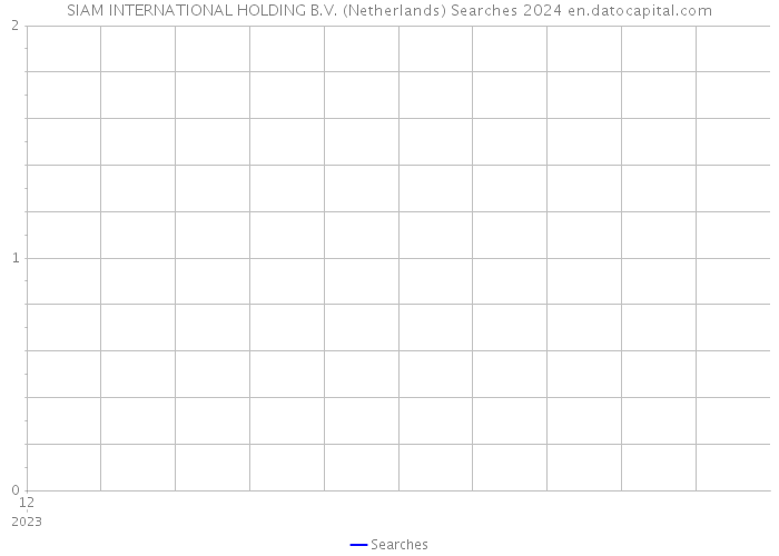 SIAM INTERNATIONAL HOLDING B.V. (Netherlands) Searches 2024 