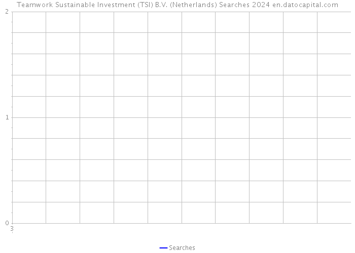 Teamwork Sustainable Investment (TSI) B.V. (Netherlands) Searches 2024 