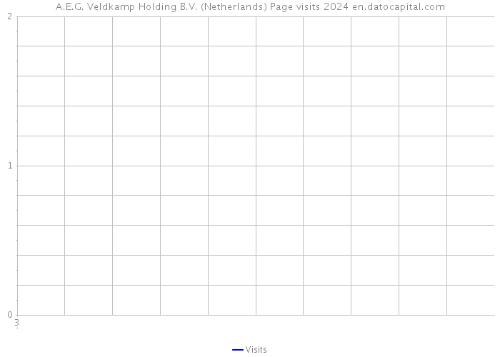 A.E.G. Veldkamp Holding B.V. (Netherlands) Page visits 2024 