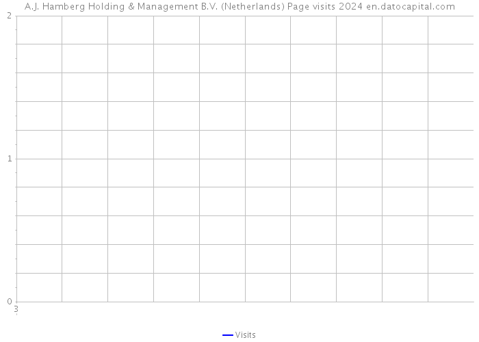 A.J. Hamberg Holding & Management B.V. (Netherlands) Page visits 2024 
