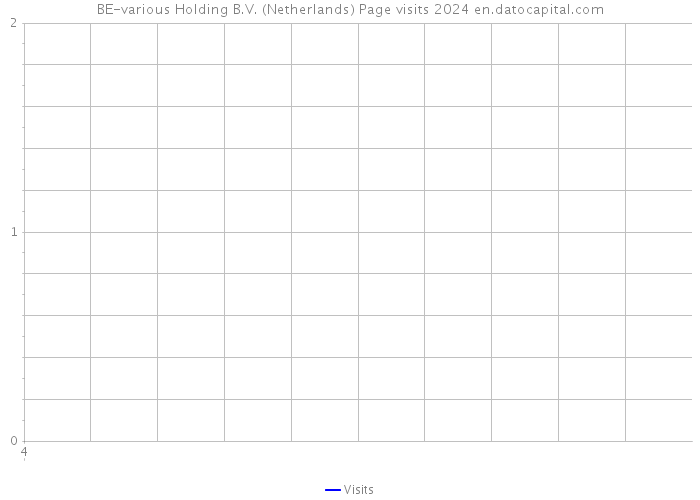 BE-various Holding B.V. (Netherlands) Page visits 2024 