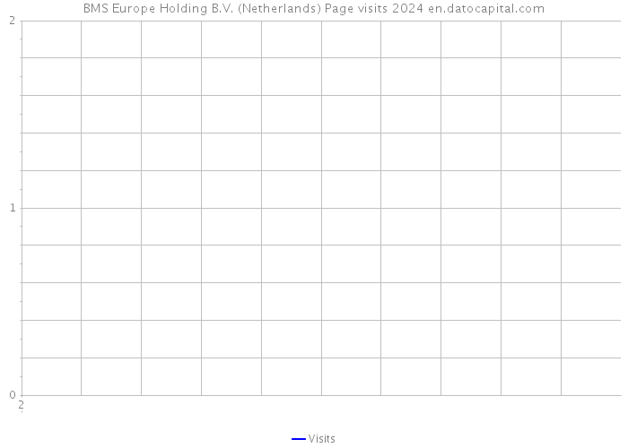 BMS Europe Holding B.V. (Netherlands) Page visits 2024 