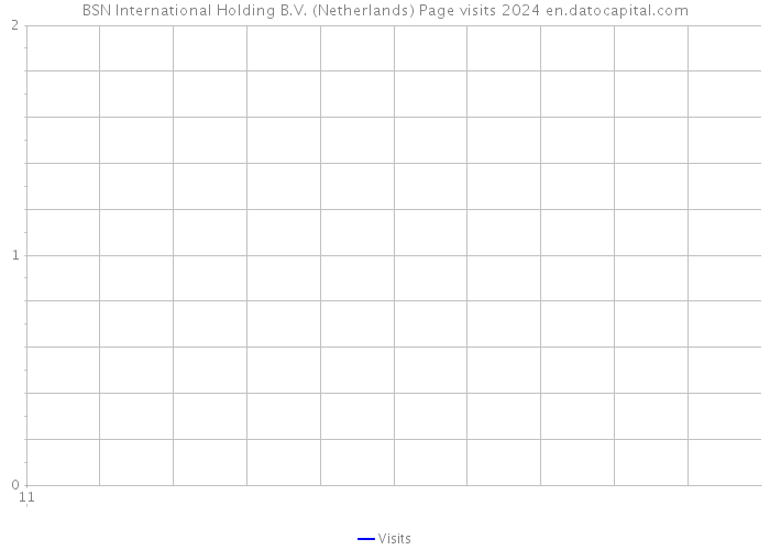 BSN International Holding B.V. (Netherlands) Page visits 2024 