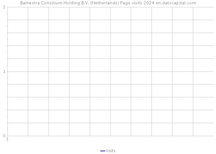 Bamestra Consilium Holding B.V. (Netherlands) Page visits 2024 