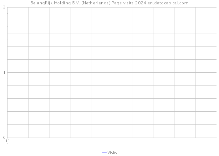 BelangRijk Holding B.V. (Netherlands) Page visits 2024 