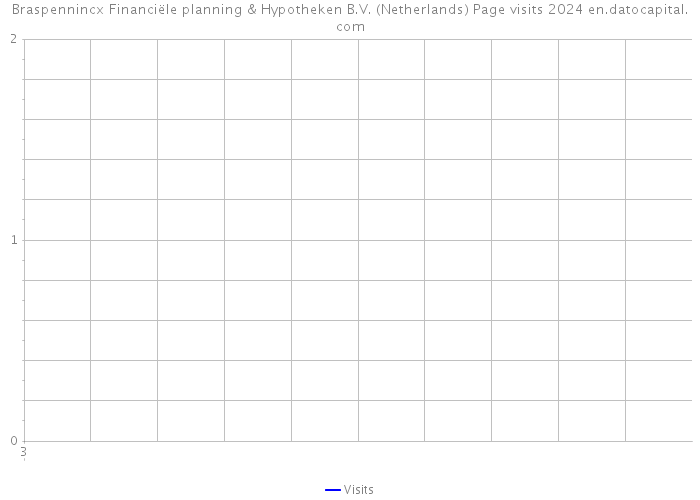 Braspennincx Financiële planning & Hypotheken B.V. (Netherlands) Page visits 2024 
