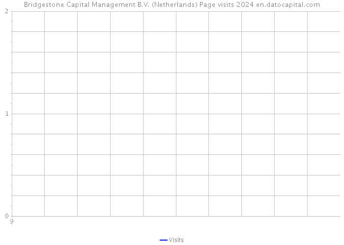 Bridgestone Capital Management B.V. (Netherlands) Page visits 2024 