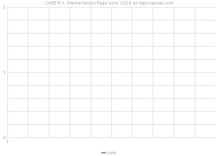 CAES B.V. (Netherlands) Page visits 2024 
