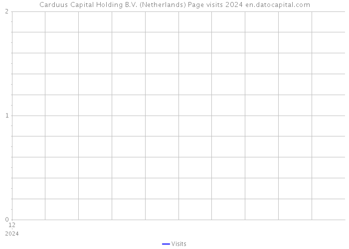 Carduus Capital Holding B.V. (Netherlands) Page visits 2024 