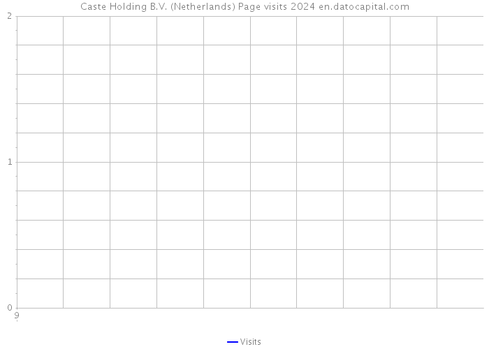 Caste Holding B.V. (Netherlands) Page visits 2024 
