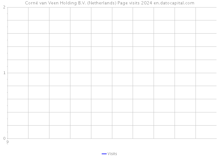 Corné van Veen Holding B.V. (Netherlands) Page visits 2024 