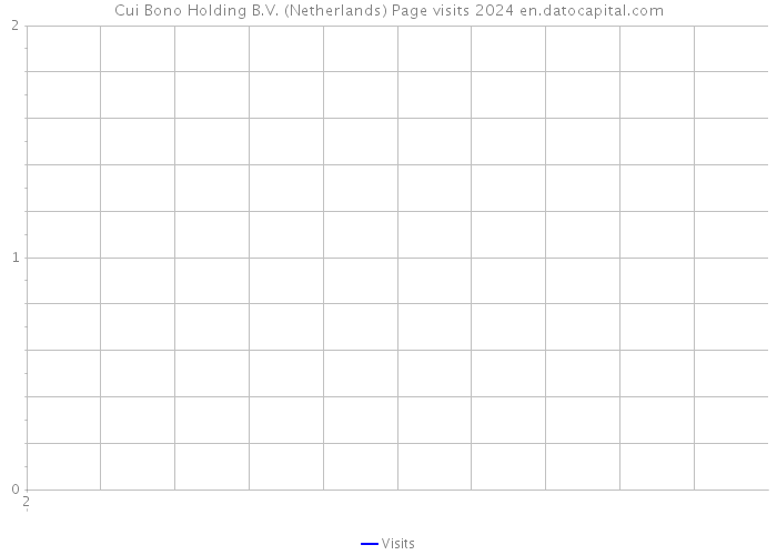 Cui Bono Holding B.V. (Netherlands) Page visits 2024 